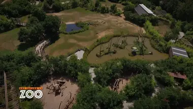 Une saison au zoo : S9 E14