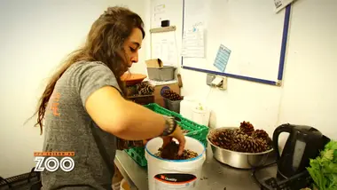 Une saison au zoo : S9 E17