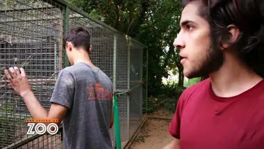 Une saison au zoo : S9 E19