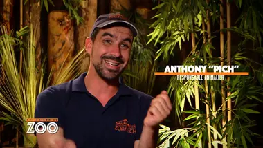 Une saison au zoo : S9 E21