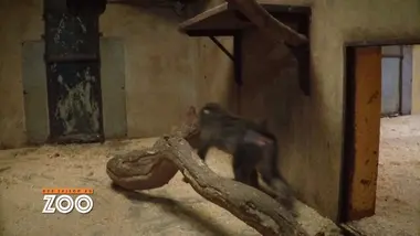 Une saison au zoo : S9 E23