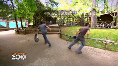 Une saison au zoo : S9 E24