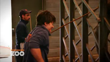 Une saison au zoo : S9 E27