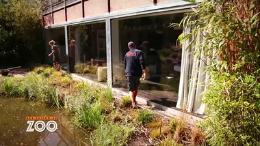 Une saison au zoo : S9 E31