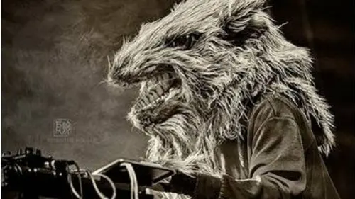 replay de United We Stream Festival