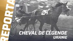 URANIE, LA PREMIÈRE STAR DU TROT I Cheval de Légende