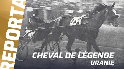 replay de URANIE, LA PREMIÈRE STAR DU TROT I Cheval de Légende