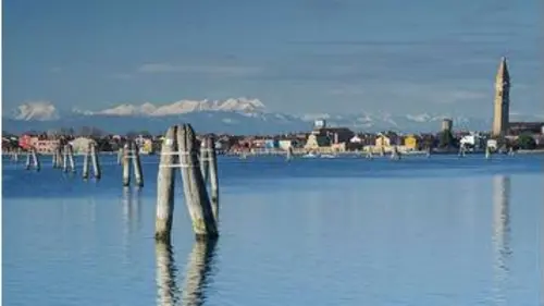 replay de Venise sauvage