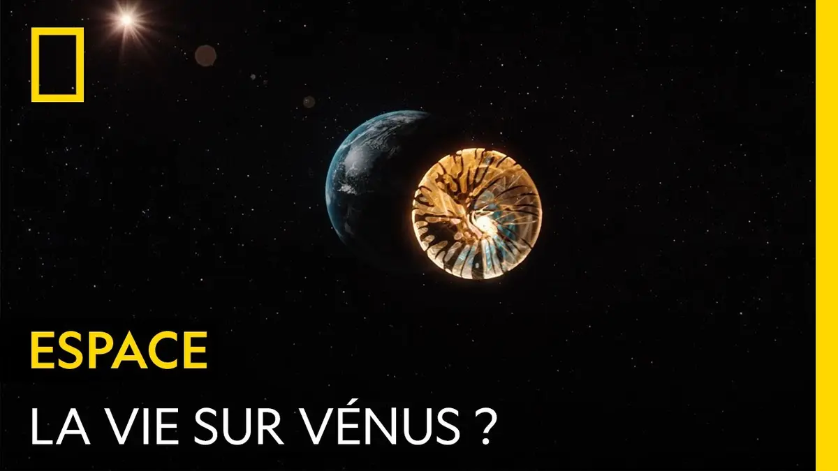 replay de Vénus aurait pu engendrer la vie il y a des milliards d'années