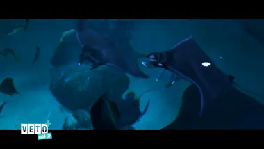 Véto & Co : S9 E1