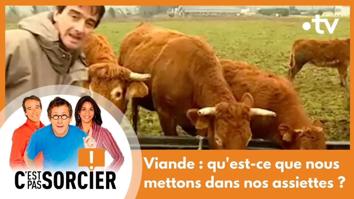 replay de Viande : qu'est-ce que nous mettons dans nos assiettes ? - C'est pas sorcier