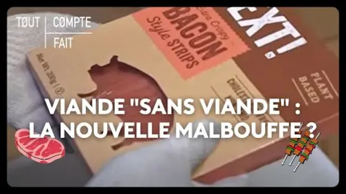 replay de Viande "sans viande" : la nouvelle malbouffe ?