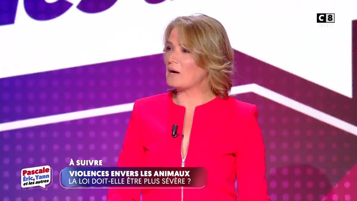 replay de Violences envers les animaux, la loi doit-elle être plus sévère ?
