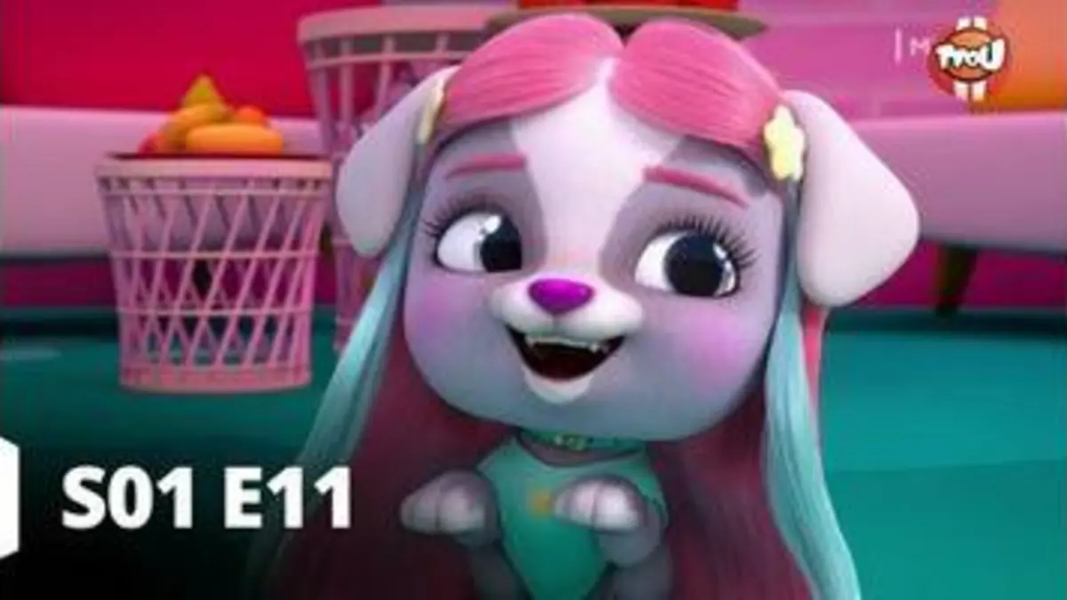 replay de VIP Pets - S01 E11 - Gigi est célèbre