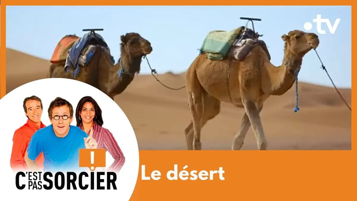 replay de Vivre en plein désert - C'est Pas Sorcier [Intégrale]