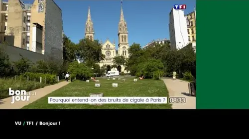 replay de VU du 14/08/2025 : Les cigales à Paris