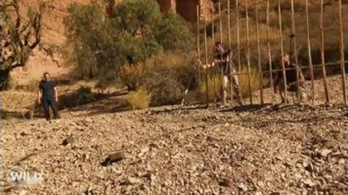 replay de Wild, la course de survie : Le choix décisif / Épisode 4 - Le far west bolivien