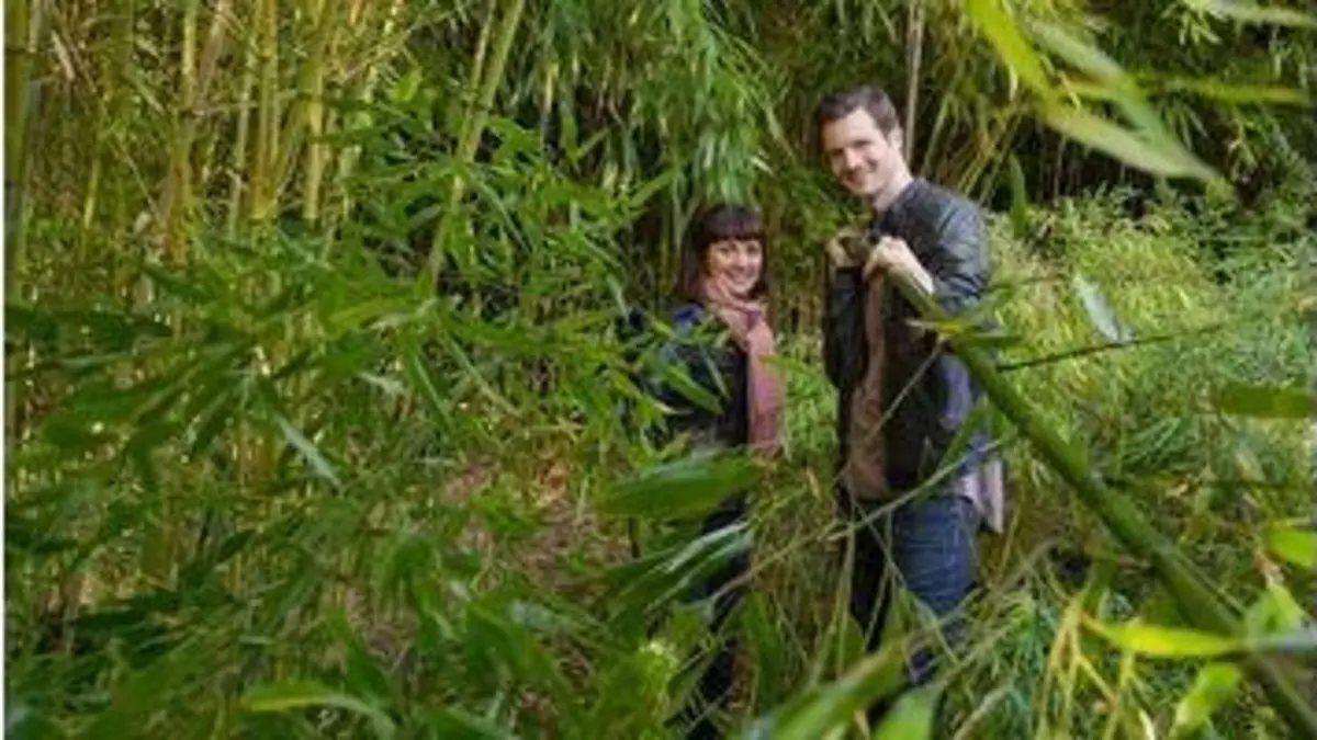 replay de Xenius - Le bambou : un matériau qui a de l'avenir