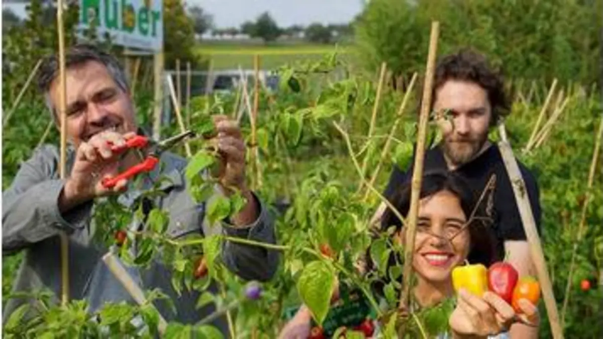 replay de Xenius - Les bienfaits du piment