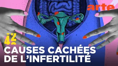 Y a-t-il une crise de la fertilité féminine ? | 42 - La réponse à presque tout | ARTE