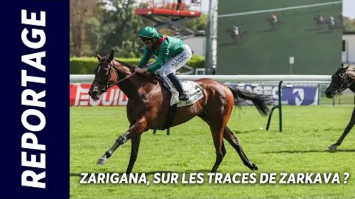 replay de ZARIGANA, SUR LES TRACES DE ZARKAVA ? | Reportage