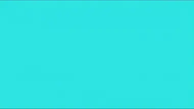 Zig et Sharko : L'île au trésor
