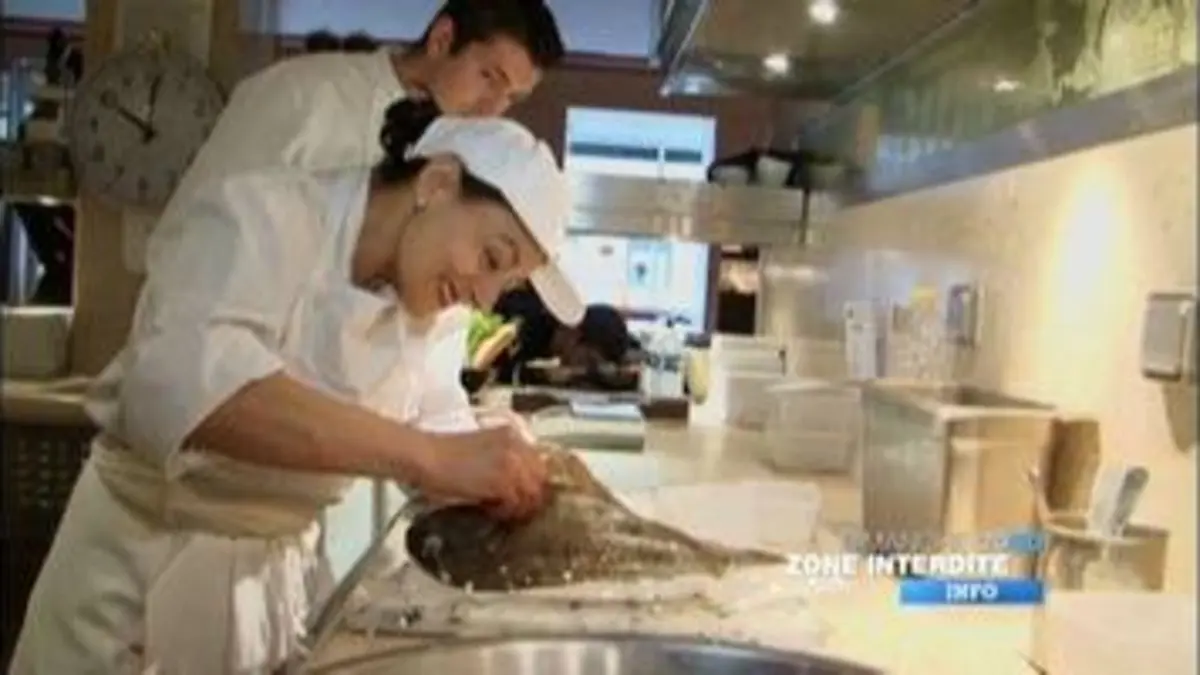 replay de Zone interdite : Bande-annonce: un CAP de cuisine avec Alain Ducasse