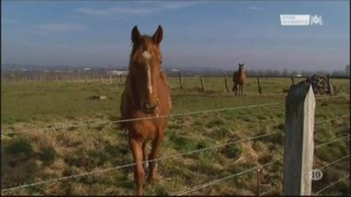 replay de Zone interdite : Drogues en campagne