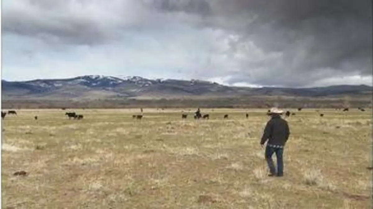 replay de 360° Géo - Bisons, les doux géants du Montana