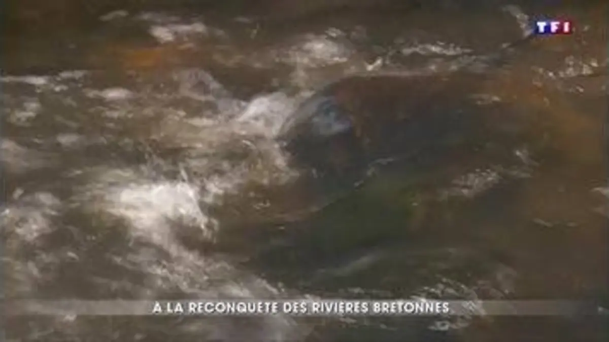 replay de À la découverte du Léguer, la rivière la plus sauvage de Bretagne