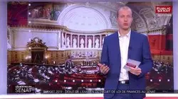Affaire Benalla : l'audition de François-Xavier Lauch, chef de... - Les matins du Sénat (23/11/2018)