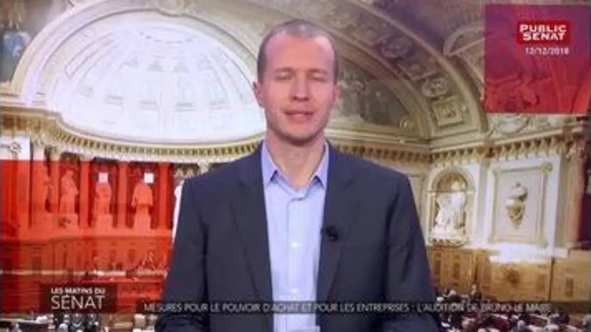 replay de Audition de Bruno Le Maire, ministre de l'économie, sur le PJL Pacte - Les matins du Sénat (14/12/