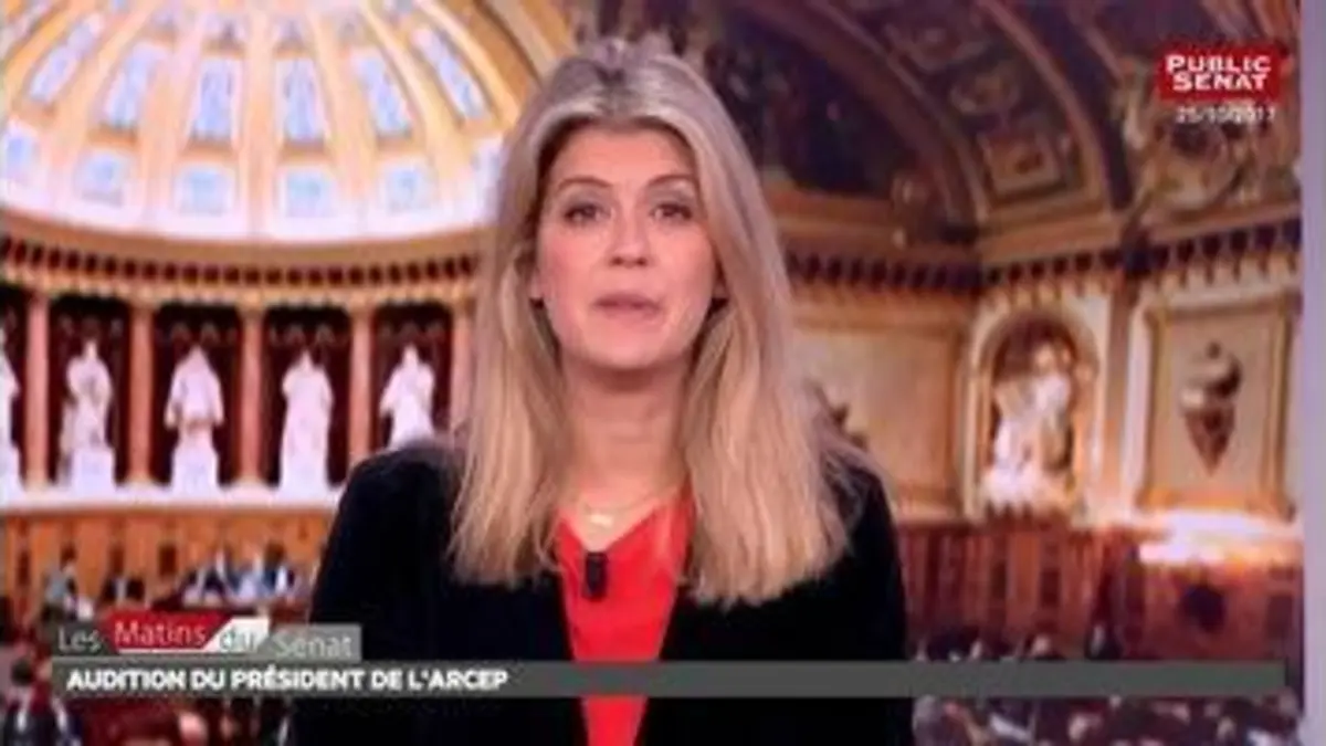 replay de audition du président de l'Arcep - Les matins du Sénat (06/11/2017)