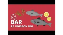 Bar, le poisson roi - Les Carnets de Julie