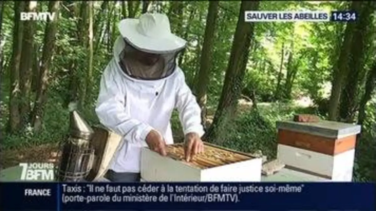 replay de Barack Obama et Ségolène Royal se mobilisent pour sauver les abeilles