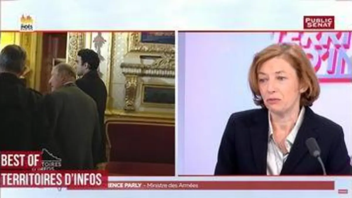 replay de Best of Territoires d'Infos - Florence Parly (29/05/18)