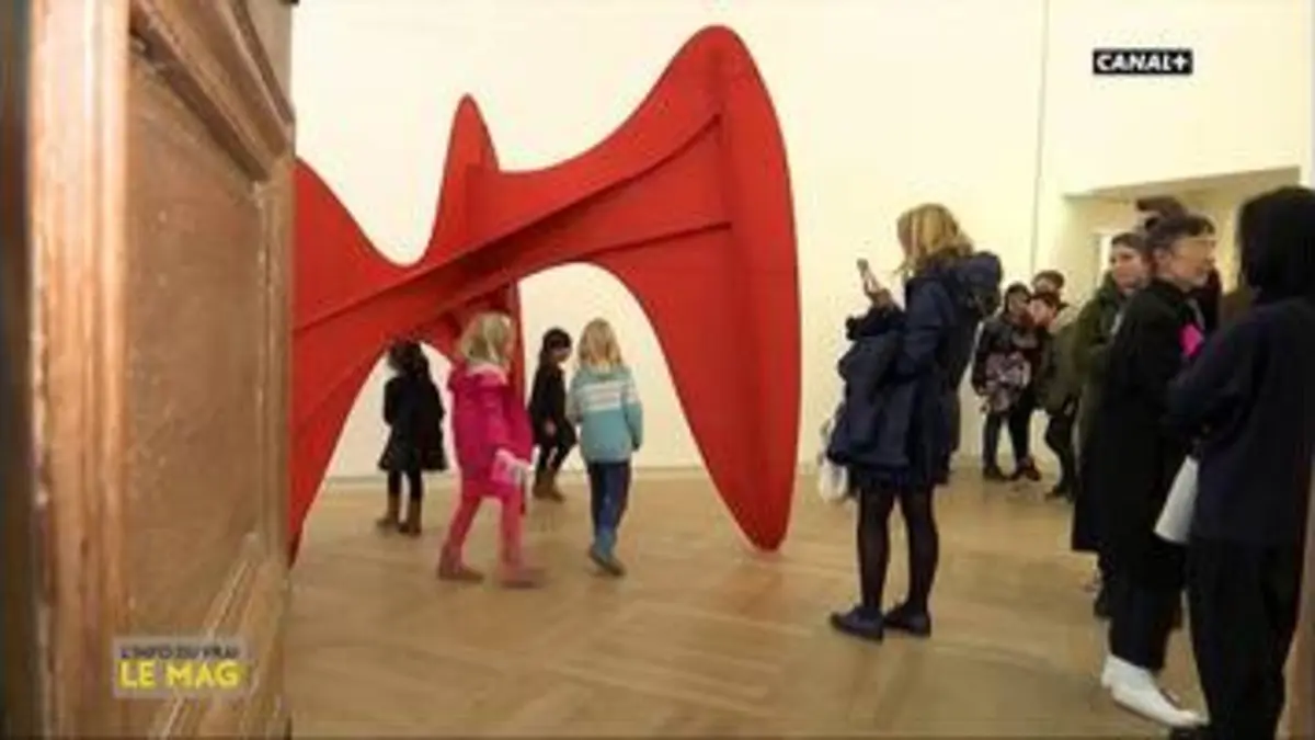 replay de Calder et Picasso au musée Picasso ! - L'info du Vrai du 07/03 - CANAL +