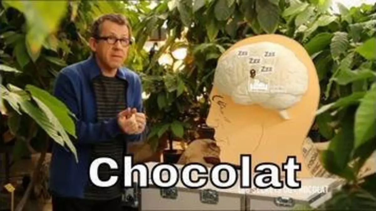 replay de Comment le chocolat agit-il sur notre cerveau ? - C'est Pas Sorcier