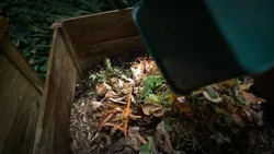 Compost : le bon réflexe pour réduire nos déchets - Tout compte fait