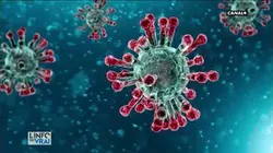Coronavirus : la planète entière en alerte