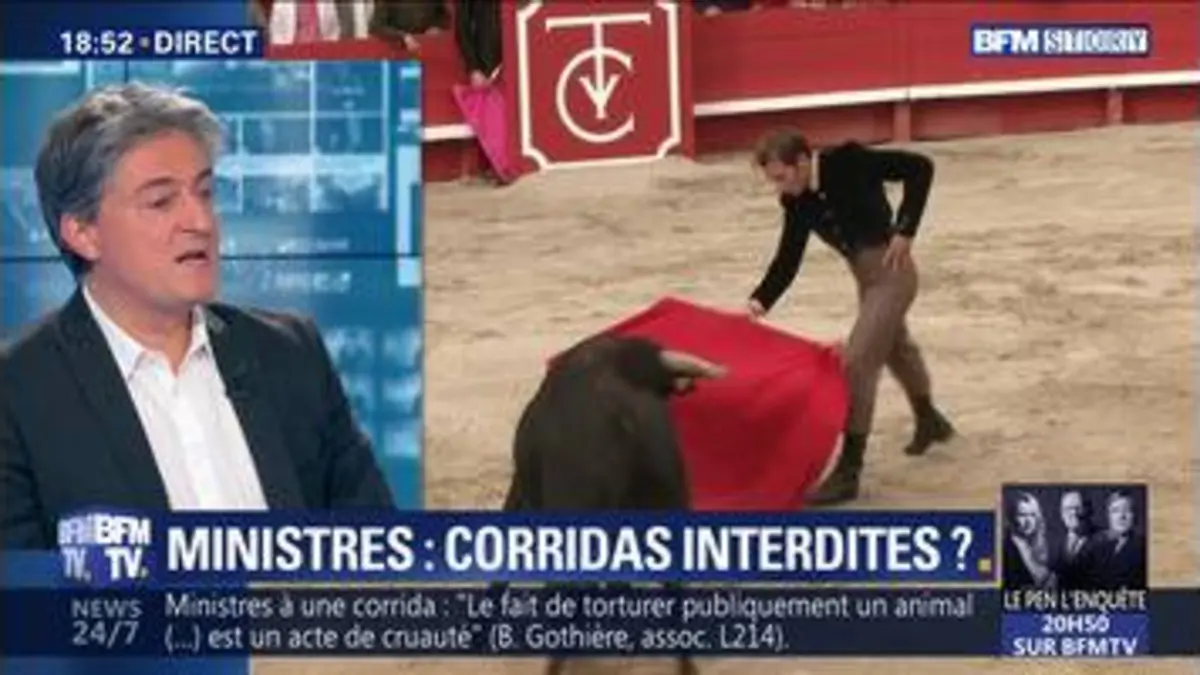 replay de Corrida de Bayonne: polémique autour de la présence de deux ministres (2/2)