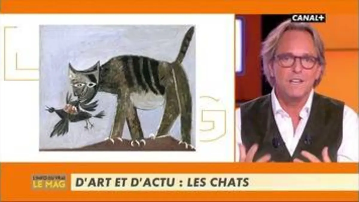replay de D'art et d'actu : Les chats - L'info du vrai du 10/01 - CANAL+