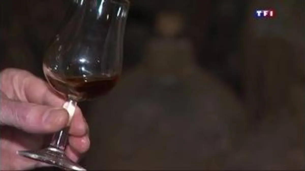 replay de Élaboration du cognac : une affaire de patience