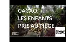 Envoyé spécial. Cacao : les enfants pris au piège - 10 janvier 2019 (France 2)