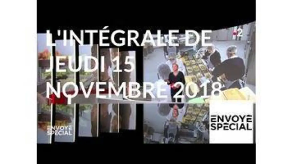 replay de Envoyé spécial du 15 novembre 2018 (France 2)