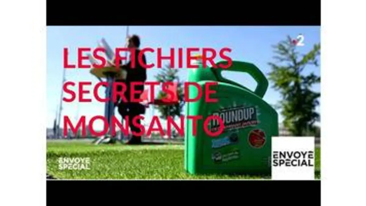 replay de Envoyé spécial. Les fichiers secrets de Monsanto - 16 mai 2019 (France 2)