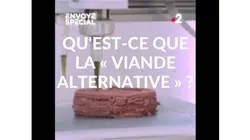 Envoyé spécial. Qu'est-ce que la « viande alternative » ? - Jeudi 7 novembre 2019 (France 2)