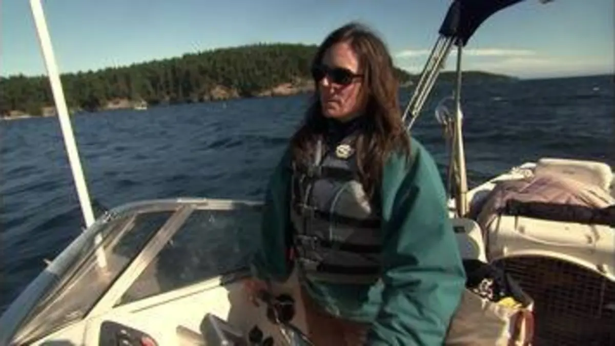 replay de État de Washington : le labrador et les orques