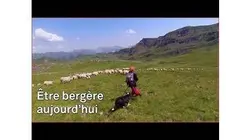 Être bergère béarnaise en 2018