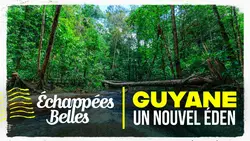 Guyane, un nouvel éden